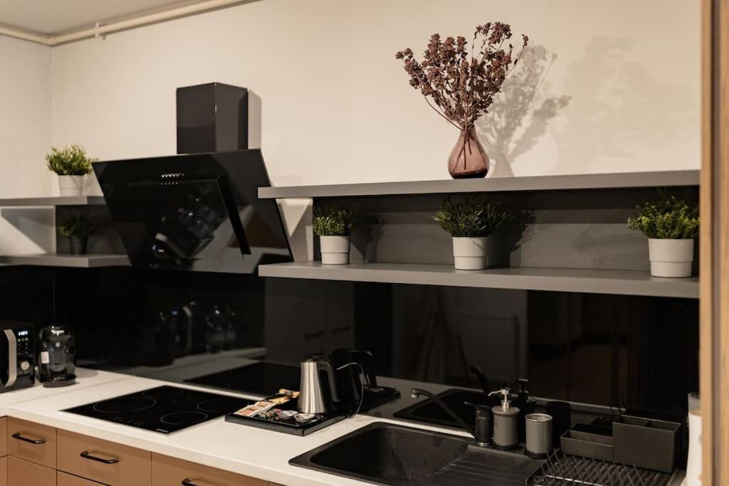 Nest Inn Magic Apartment كلوج-نابوكا المظهر الخارجي الصورة