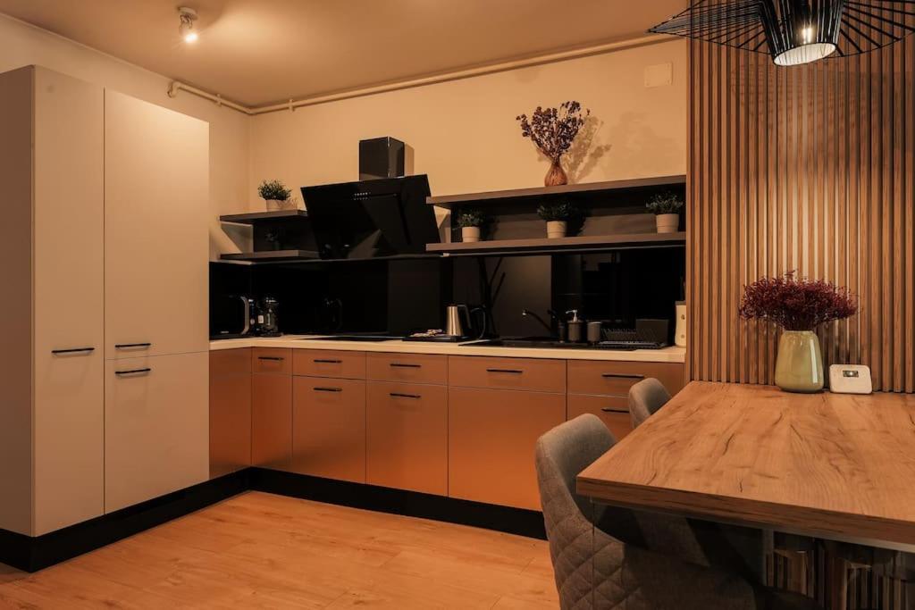 Nest Inn Magic Apartment كلوج-نابوكا المظهر الخارجي الصورة